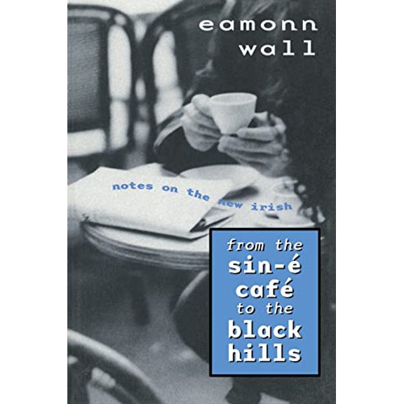 Pre-Owned From the Sin-E Cafe to Black Hills: Notes on the New Irish, 9780299167240, 0299167240, Paperback, 1 edition