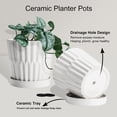 thumbnail image 7 of EFISPSS 6 Inch Pots for Indoor Plants,Ceramic Plant Pots,Planters with Drainage Hole and Saucer, Flower Pots Desktop Office Windowsill Decoration Gift Set of 2 - White, 7 of 7