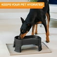 thumbnail image 5 of Neater Pets Big Bowl with Leg Extensions for Dogs - Raised for Feeding Comfort - Extra Large Plastic Trough Style Food or Water Bowl for Use Indoors or Outdoors, Outdoors, 1.25 Gallon (160 Oz.), 5 of 11