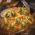 thumbnail image 2 of Christmas Luminous Light String Wrought Iron Hollow Five Pointed Star Snowflake Christmas Tree LED Light String Battery Light String, 2 of 6