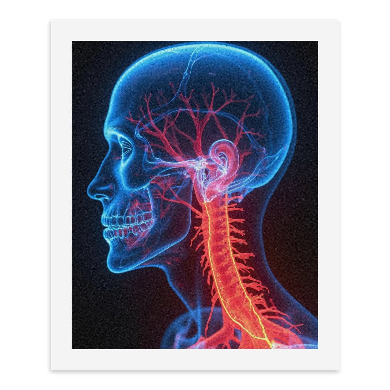Paint by Numbers Kit for Adults, Human Anatomy Brain Nerve System Paint by Numbers, Easy Paint by Numbers Kit for Adults Beginner, DIY Adult Paint by Number Kits on Canvas, Home Decor