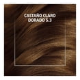 thumbnail image 4 of Tinte para cabello Wella Deluxe con ácido hialurónico 5.3 Castaño Claro Dorado, 4 of 4