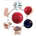 thumbnail image 3 of Cheers.US 7.5cm/9.5cm Spiky Hard Massage Balls Plantar Fasciitis Muscle Soreness Massager Ball Yoga Ball Fitness Ball, 3 of 7