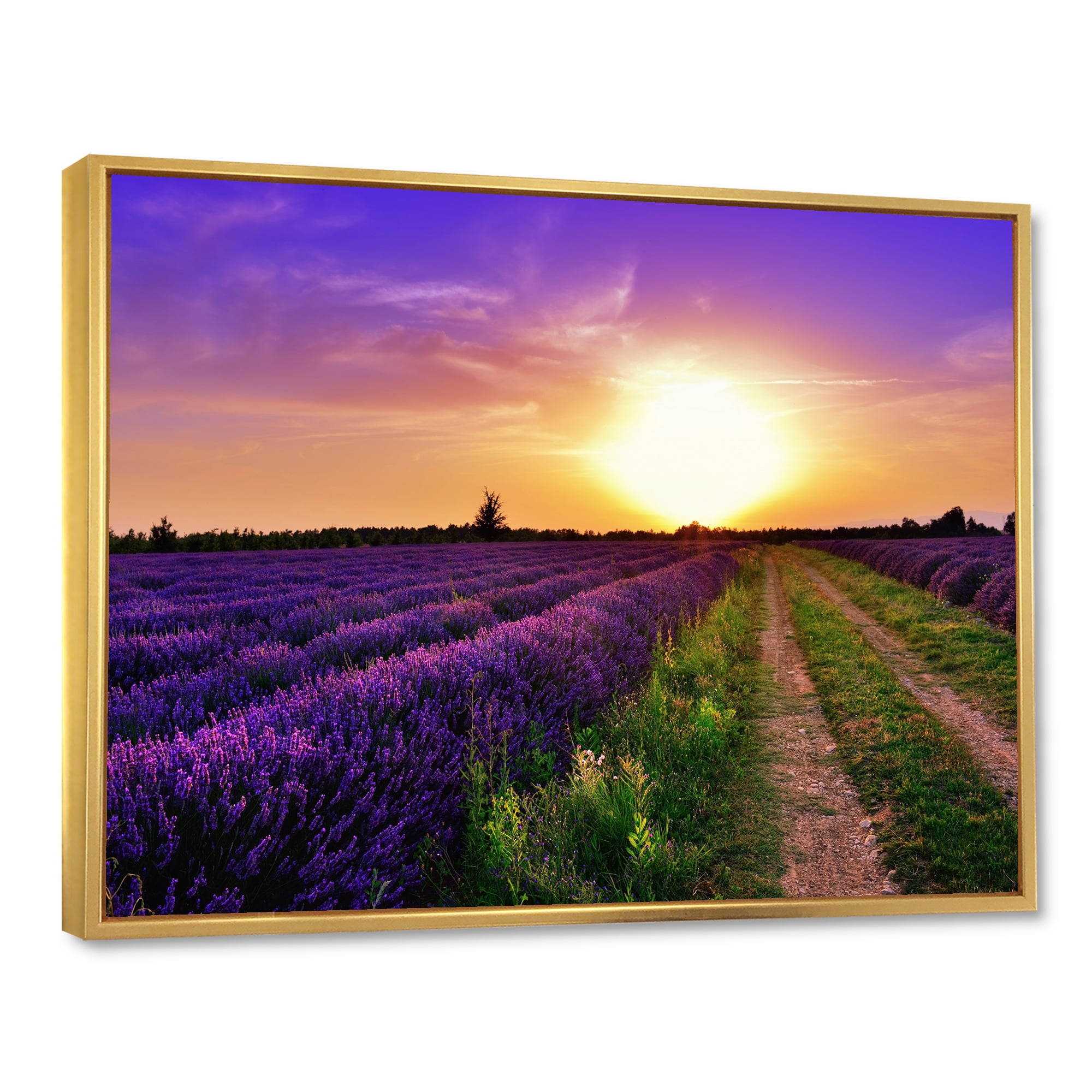 Designart 'Lavender Field At Sunrise II' Farmhouse Framed Canvas Wall Art Print