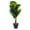 As Shown, variant on Monyance artificial plants Artificial Greenery Potted Bonsai for Office Desk(17.72X11.02X5.12Inches)