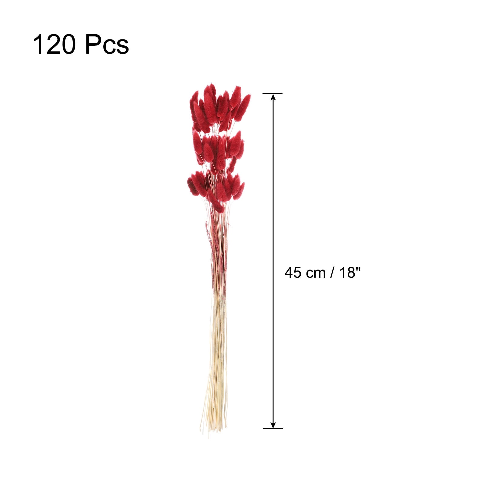 Uxcell 120pcs Natural Rabbit Bunny Tails Dried Flowers 18" Mini Pampas Grass Lagurus Ovatus Bunch for Floral Wedding Decor, Red
