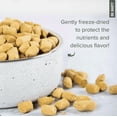 thumbnail image 3 of Dr. Marty Jasmine's Gems Freeze-Dried Raw Chicken Liver Cat Treats, 4 oz, 3 of 5