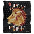 thumbnail image 2 of Harry Potter Blanket, 50"x60" Harry Potter Neo Industries Gryffindor Silky Touch Super Soft Throw Blanket, 2 of 6