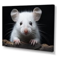 thumbnail image 2 of Designart "Rodent Wonders White Small wall art" Animals Canvas Wall Art, 2 of 5
