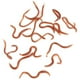 thumbnail image 4 of Cebos de Gusano, 10 cm/3,9 Pulgadas, Señuelo de Gusano de Pesca, Cebo de Lombices de Tierra Falso, Cebos de Pesca de Pvc Falsos, 4 of 7