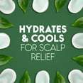 thumbnail image 3 of Head & Shoulders Tea Tree Oil 2-in-1 Anti-Dandruff Shampoo + Conditioner, 370ML, 3 of 17