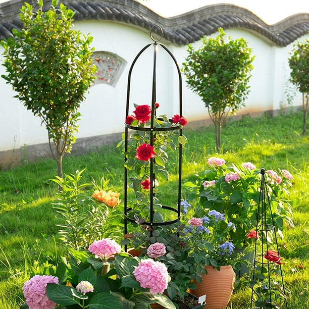 Treillis de jardin obélisque en métal, treillis de jardin pour arche de  légumes petit, treillis de jardin pour plantes d'extérieur grimpantes 6-8  pieds en plastique (noir, blanc) 