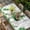 Off-White, variant on St. Patrick's Day Table Cloths for 3 Foot Rectangle Tables, Green Shamrock Hat Ladybirds Daisy Rainbow Patio Waterproof Elastic Fitted Tablecloths, Washable Rectangular Table Cover for Camping