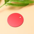 thumbnail image 3 of 25 Pcs Aluminium Alloy Pet Tag Round Pets Blank Tag Puppy Traction Rope Pendant Accessories for Puppy Teddy DIY Craving (Red), 3 of 6