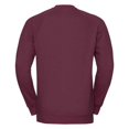 thumbnail image 2 of Russell Chandail en Molleton Raglan pour Hommes, 2 of 3