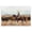 Southwestern Cowboy Horse Landscape_v4, variant on Stupell Industries Rustic Lodge Equestrian Round Up Canvas Art, 24 x 16, by Nina Blue