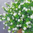 thumbnail image 4 of Artificial Flowers for Outdoors, Outdoor Faux Plants, 12 Bundles UV Resistant Realistic, Faux Flowers for Outdoor Planters, Spring Summer Home Garden Decoration, White, 4 of 7