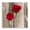 Rustic Red Anemones, variant on Stupell Industries French Country Rustic Red Anemones Black Floating Frame Canvas Art, 18 x 18, by Brian Foster