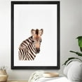 thumbnail image 3 of Giant Art 24x36 Baby Zebra Matted and Framed in Multi-Color, 3 of 3