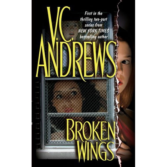 Pre-Owned Broken Wings (Mass Market Paperback) 0671039970 9780671039974