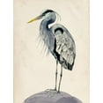 thumbnail image 2 of Wang, Melissa 19x24 Gold Ornate Wood Framed with Double Matting Museum Art Print Titled - Blue Heron Rendering II, 2 of 4