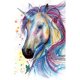 thumbnail image 1 of Pintura de diamante (DB1918) caballo de dibujos animados DIY pared cuadrada arte póster decoración 20X30cm Hugtrwg Para estrenar, 1 of 1