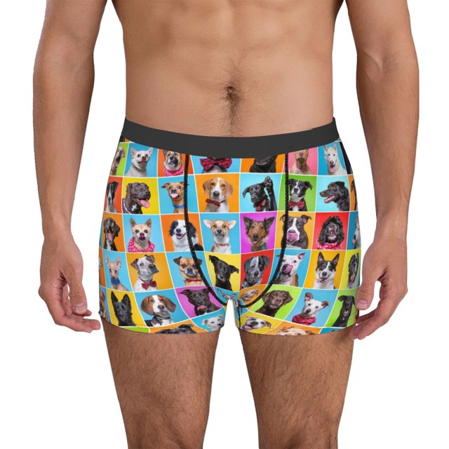 Balery Cute Dogs Collage Calzoncillos bóxer para hombre, ropa interior de algodón suave y transpirable con cinturilla de nailon-Medium