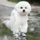 thumbnail image 5 of Botas De Invierno Para Perros, Protección Contra El Calor, Zapatos De Invierno Para Mascotas, Ajuste Cómodo Y Correas Ajustables, Botas Para Perros, Impermeables Y Con Suela, 5 of 8