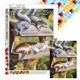 thumbnail image 1 of Pintura de diamante 5D DIY, kit de gato con cuentas cuadradas completas, decoración del hogar, 30x40cm, 1 of 9