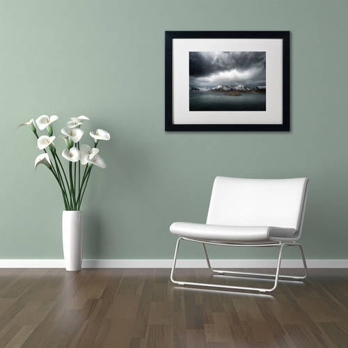 Trademark Fine Art "Grey" Canvas Art by Philippe Sainte-Laudy, White Matte, Black Frame