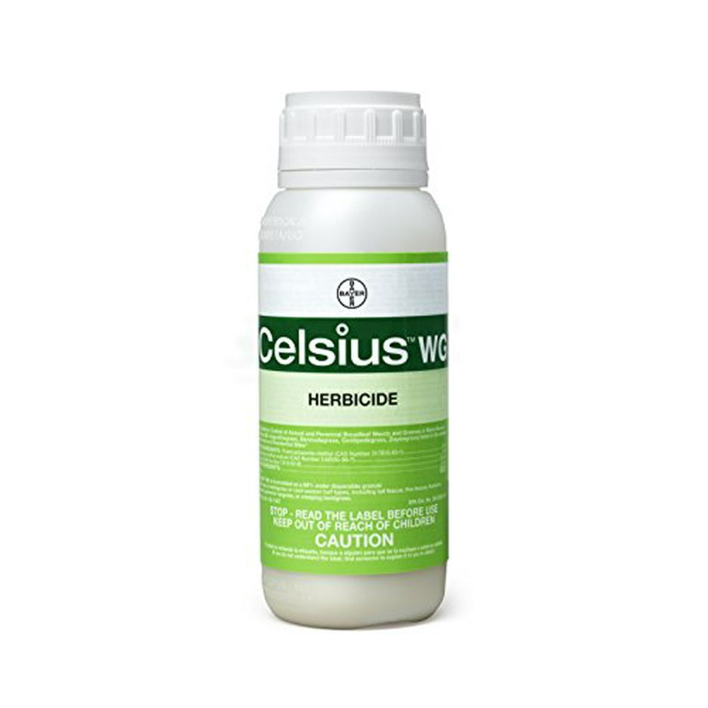 Celsius WG 10 oz