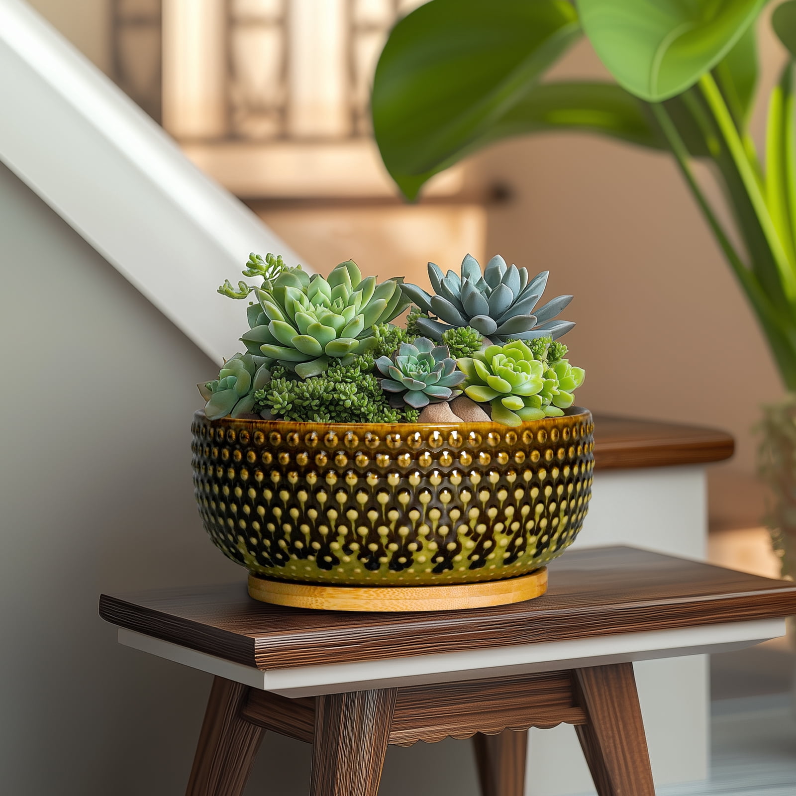 EPFamily 8 inch Brown-Green Succulent Planter Bowl with Drainage & Bamboo Saucer,Modern Ceramic Shallow Pots for Bonsai Trees, Cacti, Indoor Plants