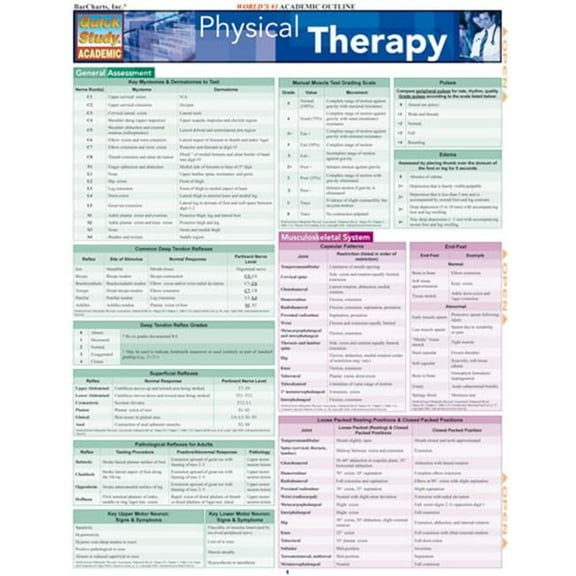 BarCharts- Inc.  Physical Therapy