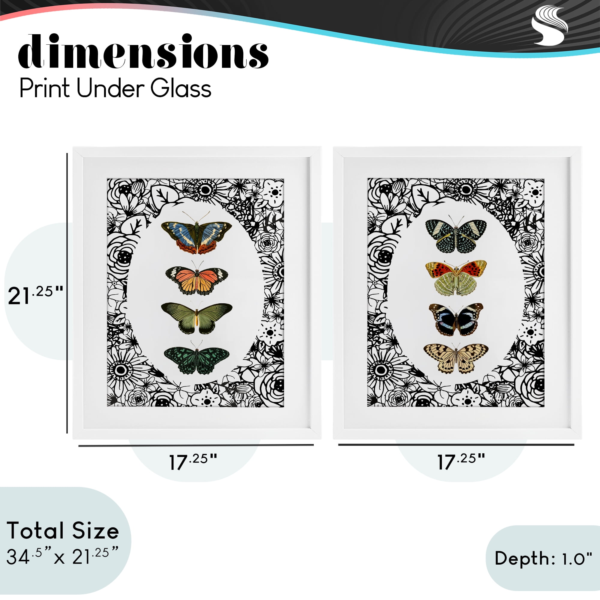 Stupell Industries Floral Butterflies Lineup 2 Piece White Framed Print Under Glass Set, design by Dan Meneely