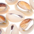 thumbnail image 4 of 10 colgantes de concha, dijes colgantes, bisutería, pendientes, accesorios, mini dijes, colgantes, dijes artesanales, conchas marinas, 4 of 7