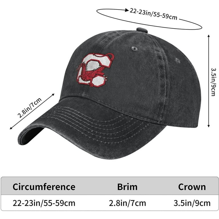 Suny A Cortland Logo Mens Hats Baseball Cap for Men Classic Vintage Dad Hat  Adjustable Washed Denim 