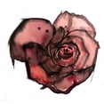 thumbnail image 3 of Atelier B Art Studio 16x15 Black Modern Framed Museum Art Print Titled - DARK ROSE, 3 of 5