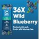 thumbnail image 3 of Brain and Body Plant Protein Bars - Peanut Butter Chip - 36-Count Low Carb - Gluten Free, High Fiber, Vegan Snacks - Low Sugar Meal Replacement, 3 of 5