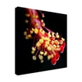 thumbnail image 2 of Trademark Fine Art 'Pistils' Canvas Art by Dana Brett Munich, 2 of 3