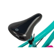 Schwinn Elm Kids Bike, 20- Inch Wheel, Single Speed, Age 7-10, Teal