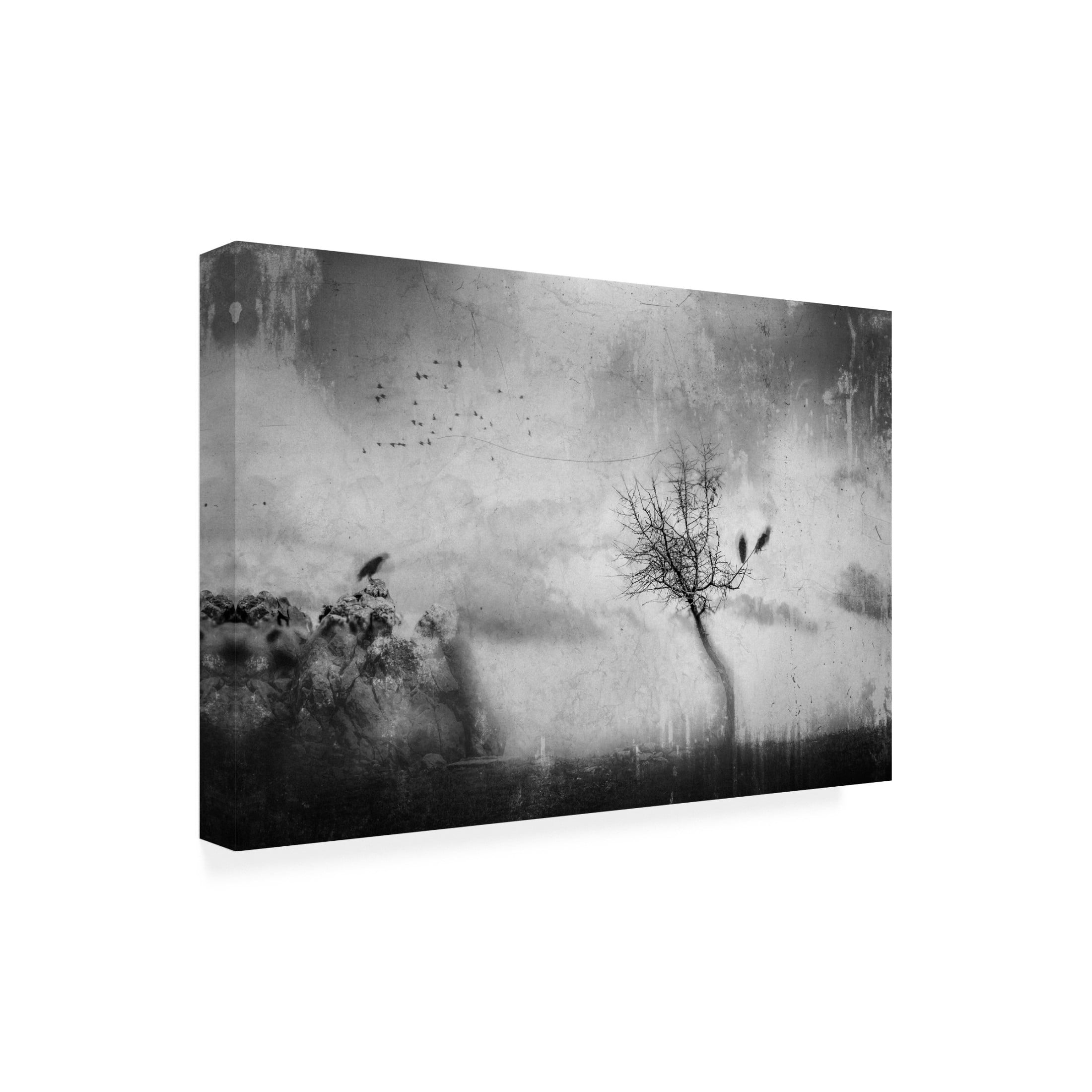 Canvas Wall Art - Katarina Holmstrom 'A Slowly Fading Memory' Wall Art for Living Room, Bedroom, or Office Décor by Trademark Fine Art - 19 x 12 Inches