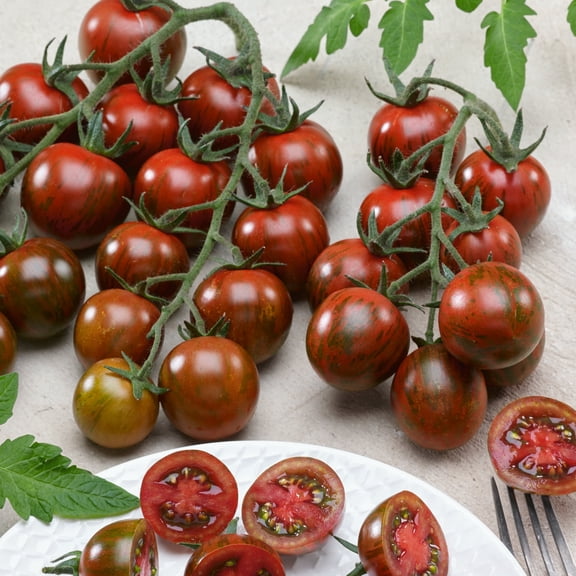 Gum Drop Black F1 Hybrid Tomato Seeds - 300 Mg Packet ~70 Seeds - Non-GMO, F1 Hybrid - Vegetable Garden - Lycopersicon esculentum