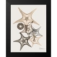 thumbnail image 2 of Koetsier, Albert 15x18 Black Modern Framed Museum Art Print Titled - Sand Starfish 3, 2 of 5