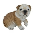 thumbnail image 5 of HI-LINE GIFT LTD. BULLDOG PUPPY, 5 of 5