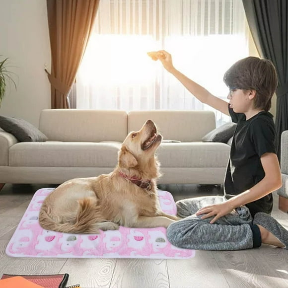 Soft Reversible Bed Mat for - Comfortable Cushioned Support Washable Durable Floor Crate Pad for Cats and Dogs