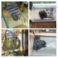 thumbnail image 2 of Methold NUEVA Resina Tortuga Anfibios Tortuga Basking Reptil Plataforma Tanque Acuático Agua Roca Escalera Basking Island Climb Decoración del hábitat del terrario, 2 of 6