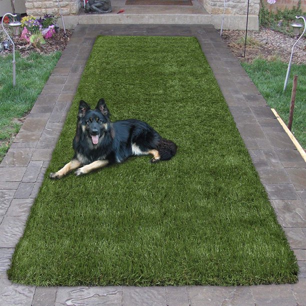 MDG8002X5 Green Runner Rug, 100 polypropylene By sweethome Walmart