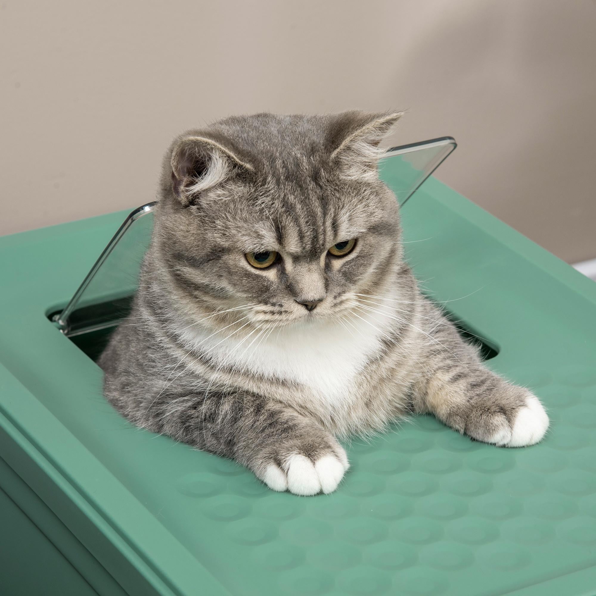 Glavbiku Foldable PP Enclosed Cat Litter Box with Scoop,Portable Cat Litter House with Tray,Green