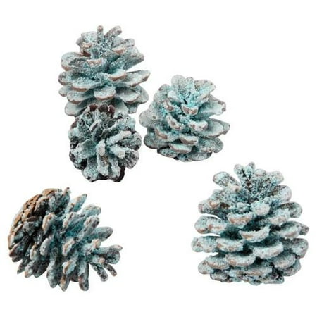

20PCS Fire Color Changing Pine Cones Wood Stove with Blue Flame Changing Color Pine Cone Winter Holiday Decor Fireplace Wood Burning Accessories
