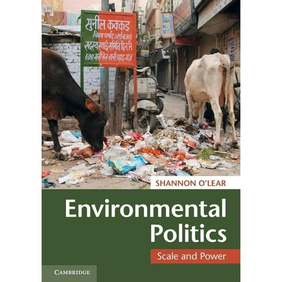 Environmental Politics, (Paperback)